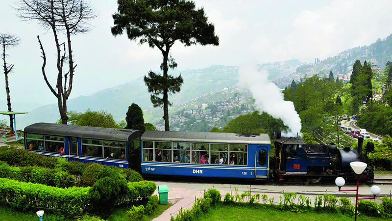 Darjeeling Toy Train