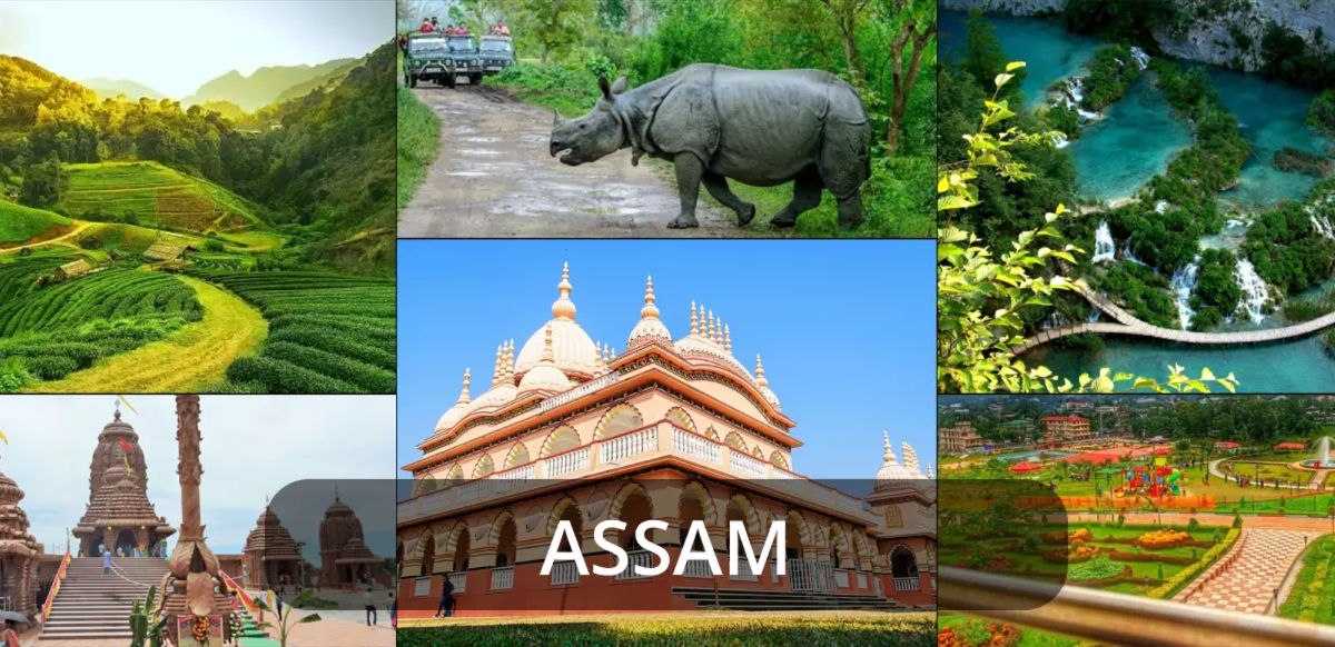 Unveiling Assam's Hidden Treasures: The Top 10 Offbeat Gems